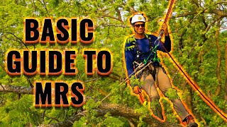 Tree Climbing with Pete: Moving Rope System/ DDRT