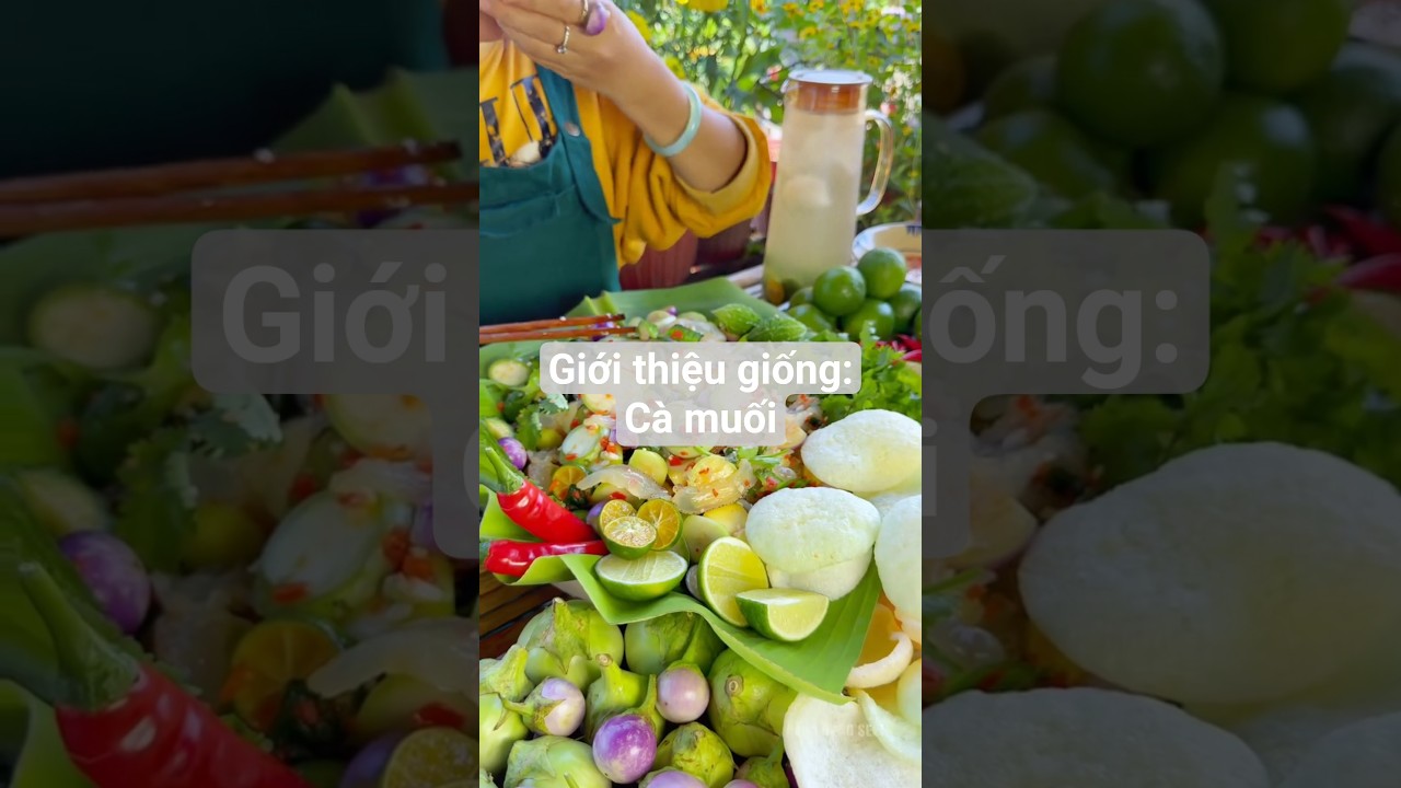 Giới thiệu giống: Cà ngọt, cà tím rau củ sốt thái chua cay bén cơm #hatgiongrangdong #rangdongseeds