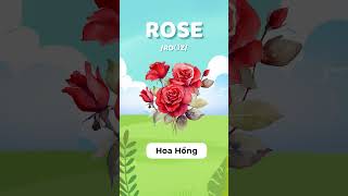 Từ vựng tiếng Anh cho trẻ nhỏ: Hoa Hồng