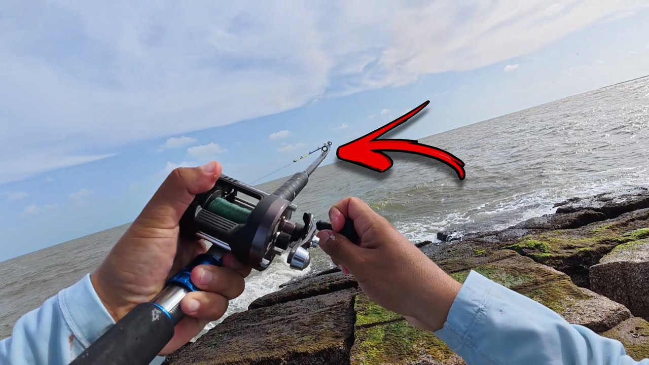 can i use a saltwater reel in freshwater Diwa Spinning Fishing Reels for 1000 2000 3000 4000 5000 6000 Series Fishing Spool Left/Right Interchangeable Trout Carp Spinning Light and Smooth (1000-Black) : Sports & Outdoors Took a Freshwater Reel Saltwater