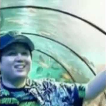 ccp kemas pake z
