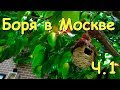 Боря в Москве. Друзья, обучение, покупки. ч.1 (05.19г.) Семья Бровченко.