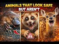 shocking truth about safe animals,Animals Gone Rogue ,#MONSTERS you can touch