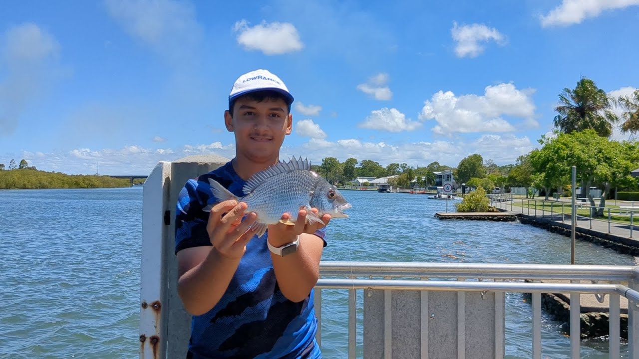 Morning Fish at Hope Island