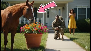Soldier Dads Return After Years, Horse Jump For Joy