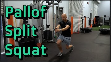 Pallof Split Squat