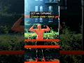 Спина, руки и пресс - в одной тренировке! #nogymworkout #спорт #турник