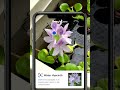 Save Time with Google Lens