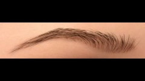 Maya tutorial:How to model an Eyebrows with xgen in maya