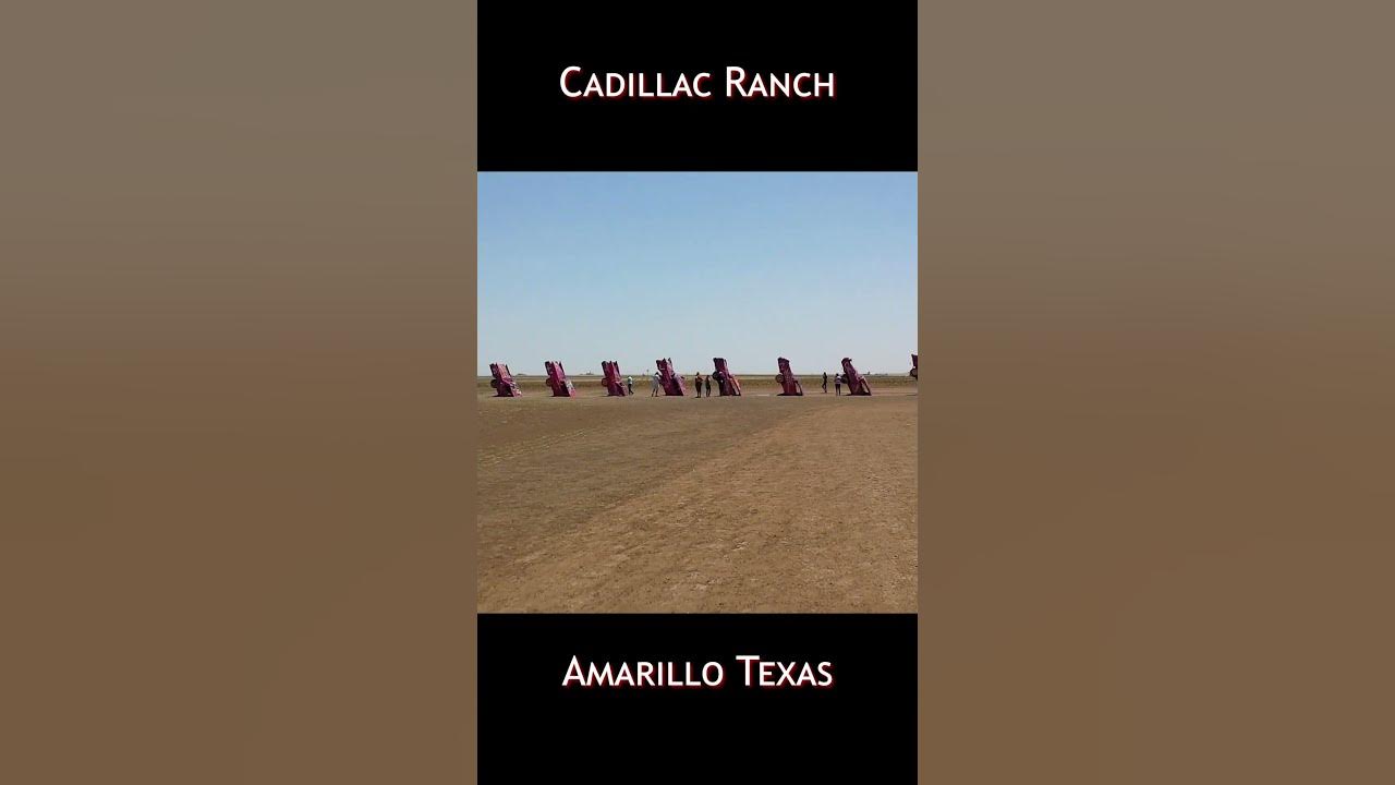 cadillac-ranch-in-texas-buried-cars-texas-shorts-route66