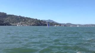 Small Catamaran In Sausalito