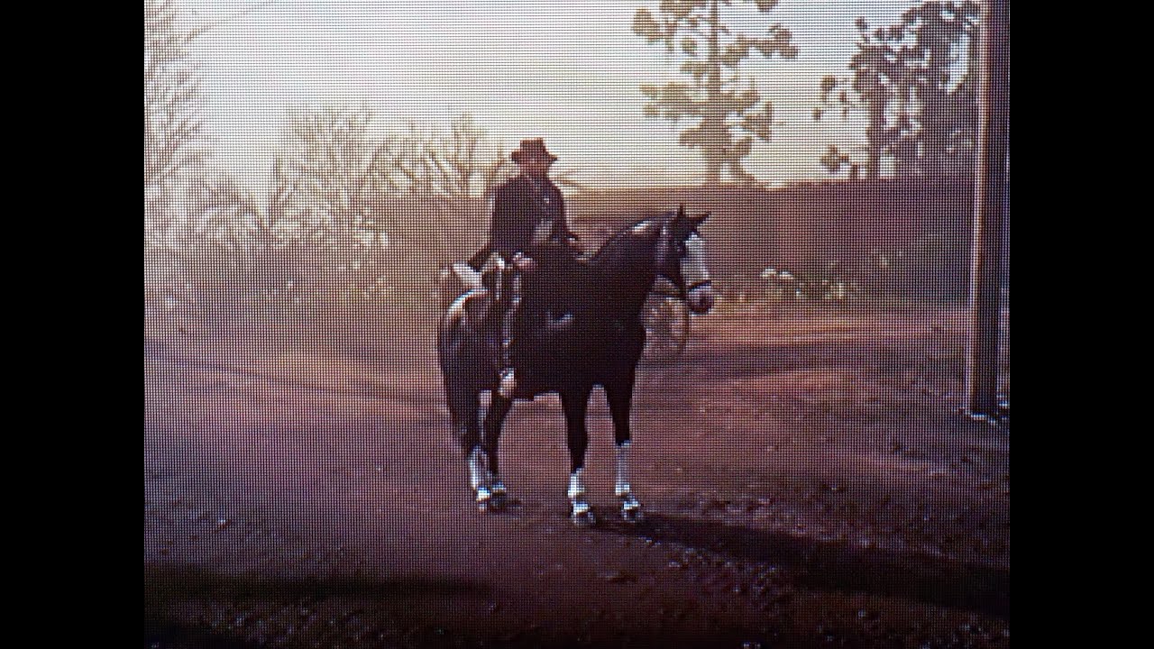 Baylock Rdr2 Red Dead Redemption 2 Arthur With Baylock Horseman 6 - YouTube