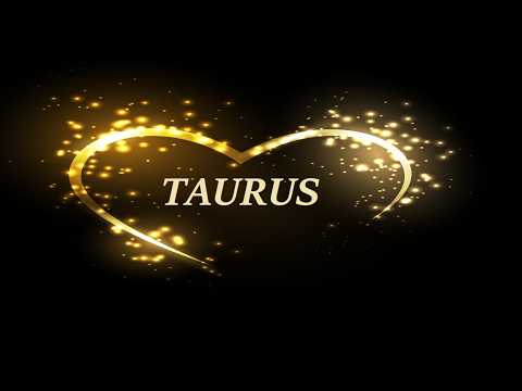 TAURUS: They Don't See How Amazing You Are!!💖 New Love