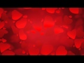 valentine background 4 - HD video background