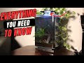 Is This the Best Small Aquarium? Marineland Portrait 5 Gallon Review and Setup