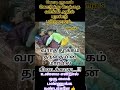 #motivation #tamilmotivation #sedmood #shortsfeed #lifequotes #youtubeshorts