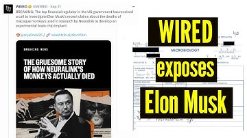 WIRED investigation exposes Elon Musk