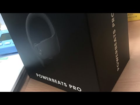 Beats Powerbeats Pro 파워비츠 프로 2019년 형 사용 리뷰