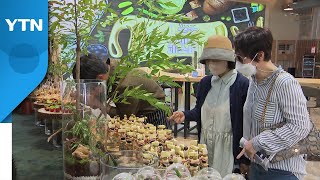 '맛의 도시' 전남 목포...미식 문화 축제 성황! /…