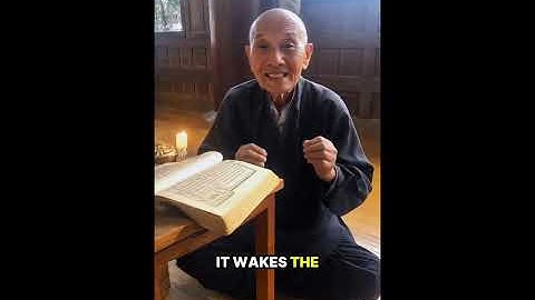 Follow for more tips / product link in discription below 👇🏼