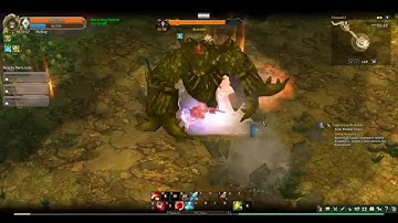Tree of savior : Barbarian full dex solo Bramble