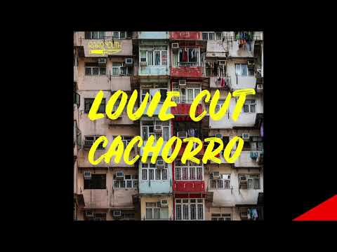 Louie Cut - Cachorro