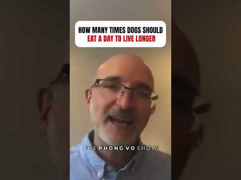 How Many Times