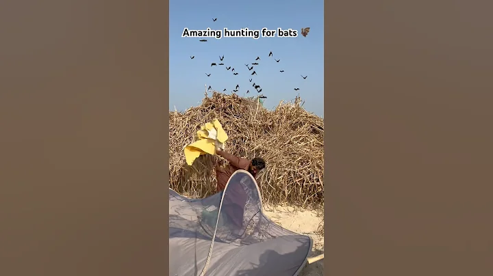 Amazing hunting for bats 🦇 #amazing  #hunting  #for #bats #farmer #hunter #villagelife 😱