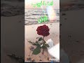 شعر بدوي مدح حب غزل طرب فن ثقافه مسرح تمثيل هجاء