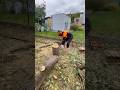STIHL MS 661 C M W Kácení Stromu Na Zahradě Stihl Pila Kaceni Chainsaw Ms661 Stihl661 Felling STIHL MS 661 C M W Kácení Stromu Na Zahradě Stihl Pila Kaceni Chainsaw Ms661 Stihl661 Felling
