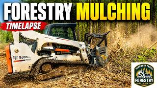 Forestry Mulching Drone Timelapse