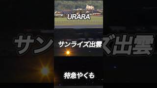 【衝撃】 3本の列車が同時通過！URARA・サンライズ出雲・やくもの競演🚃✨#shorts