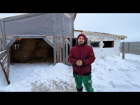 Купили два дома в деревне! Месяц стройки в одном ролике! Наша ферма! Жизнь простых людей в деревне!