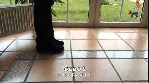 Scoot (clogging step)