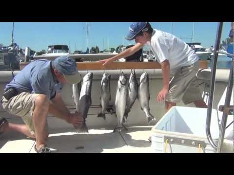 bass fishing at night Salmon Fishing Lake Michigan (Steelhead, Kings, and Cohos)
