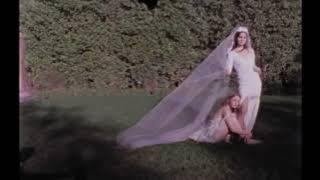 Lana del Rey - Violet for Roses