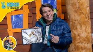 Kika-Baumhaus Tiere Im Winter Sendung Vom 13. Januar 2026