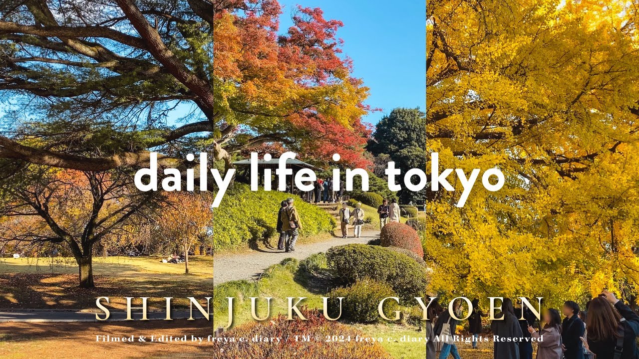 帶爸媽遊東京🍁長輩自由行 | 新宿御苑冬日散策🍂紅葉銀杏賞到飽 | 日式園藝技術mix歐美式庭園的完美結合🌳 | 悠閒午後慢時光 | freya c. diary