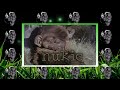 Nukie Trailer Nukie Trailer