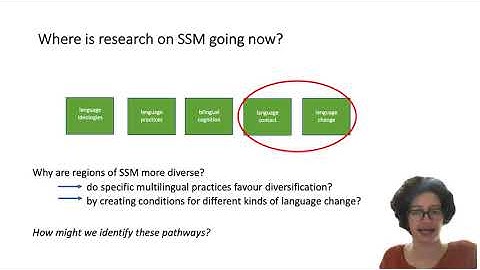 Typologising multilingualisms: from small-scale multilingualisms to meaningful abstraction