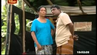 20150908 kutu 2