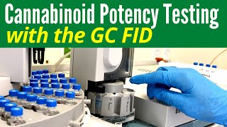 Cannabinoid Potency Testing with GC FID