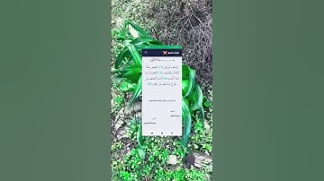 سورة قريش تلاوة خاشعة للقارئ الشيخ عبد الرحمن السديس