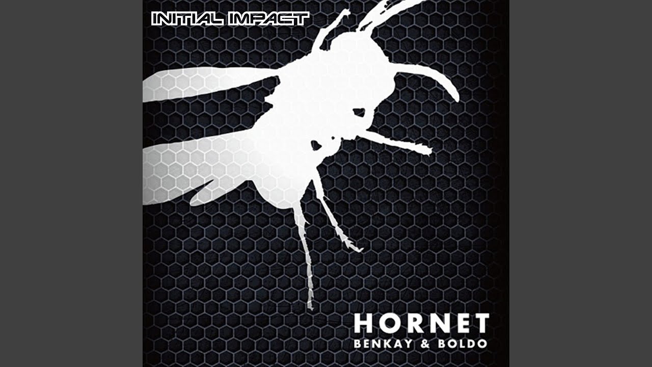 Watch HORNET (TINY DUCKS Remix) on YouTube Watch HORNET (TINY DUCKS Remix) on YouTube