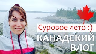 Канадский влог 🍁 30.06.17: Irving Nature Park / Суровое лето в Канаде / Жизнь в Канаде