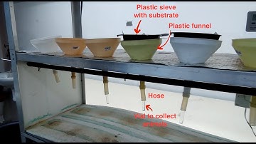 Nematode extraction - Soil BON Foodweb protocol