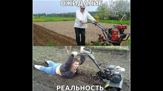 видео: Осенняя Вспашка плугом и мотоблоком ОКА картинка: Осенняя Вспашка плугом и мотоблоком ОКА
