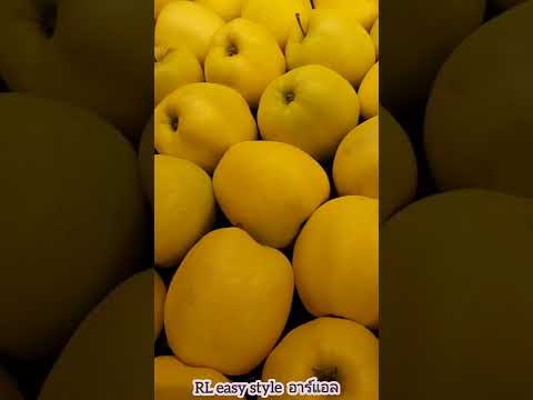 วีดีโอ: แอปเปิ้ลเหลือง: ต้นแอปเปิ้ลยอดนิยมที่มีผลไม้สีเหลือง