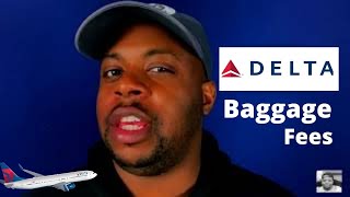Delta Airlines Baggage Fees Explained