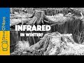 Landscape Film Photography - Infrared Midwinter Forest Shoot
